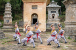 Little Shaolin Monks #7