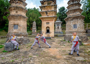 Little Shaolin Monks #8