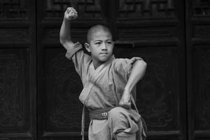 Little Shaolin Monks #15