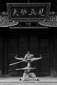 Little Shaolin Monks #21.1