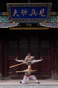 Little Shaolin Monks #21