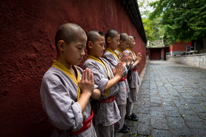 Little Shaolin Monks #26