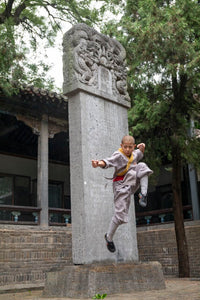 Little Shaolin Monks #25